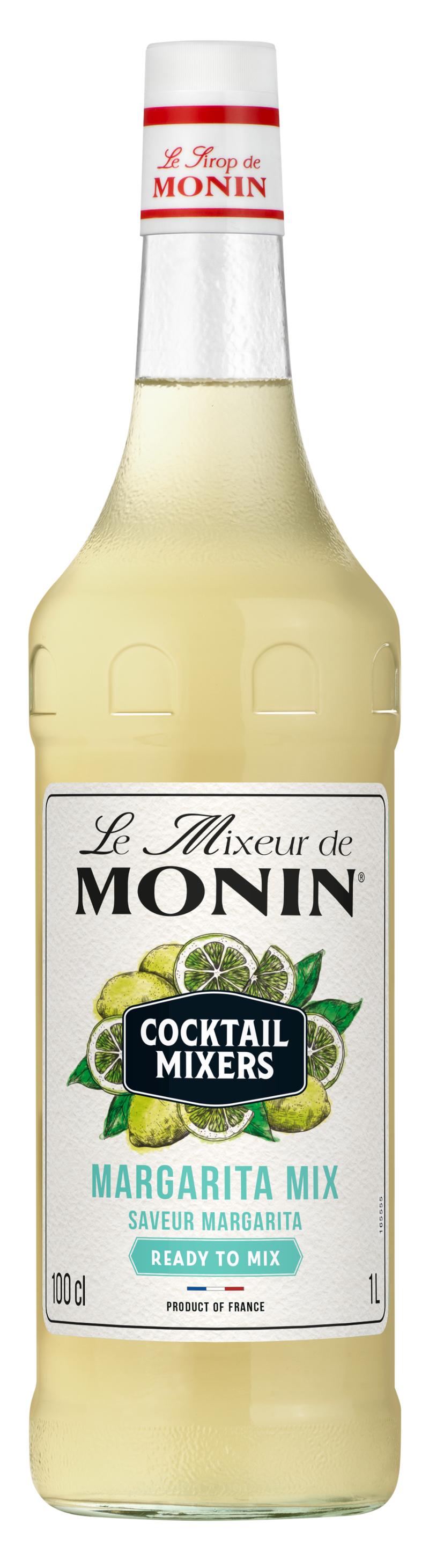 Le Mixeur de MONIN Margarita Mix