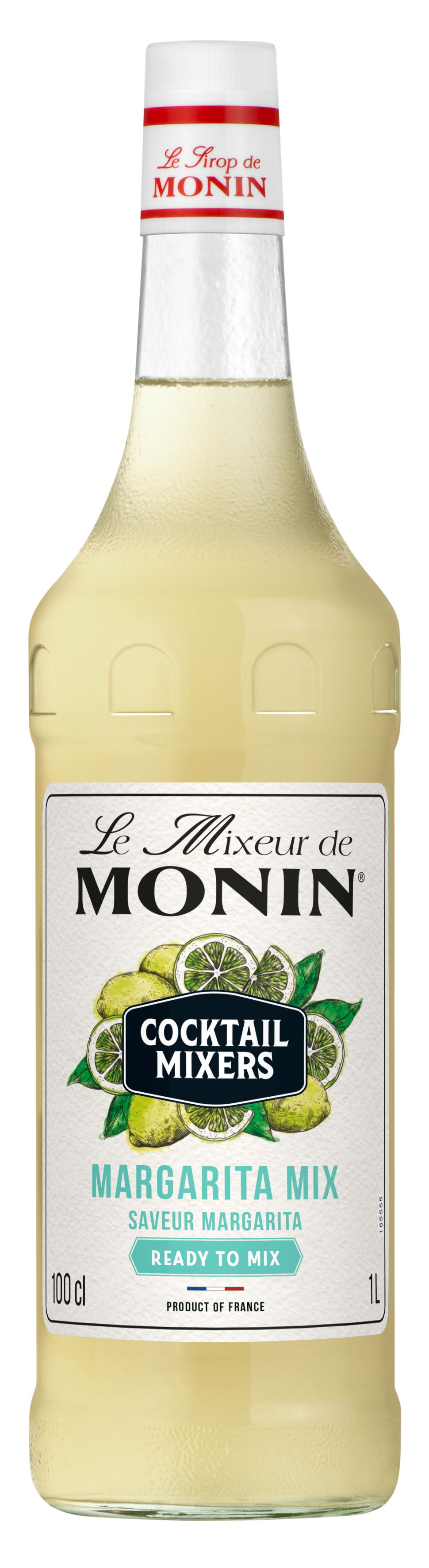 Le Mixeur de MONIN Margarita Mix