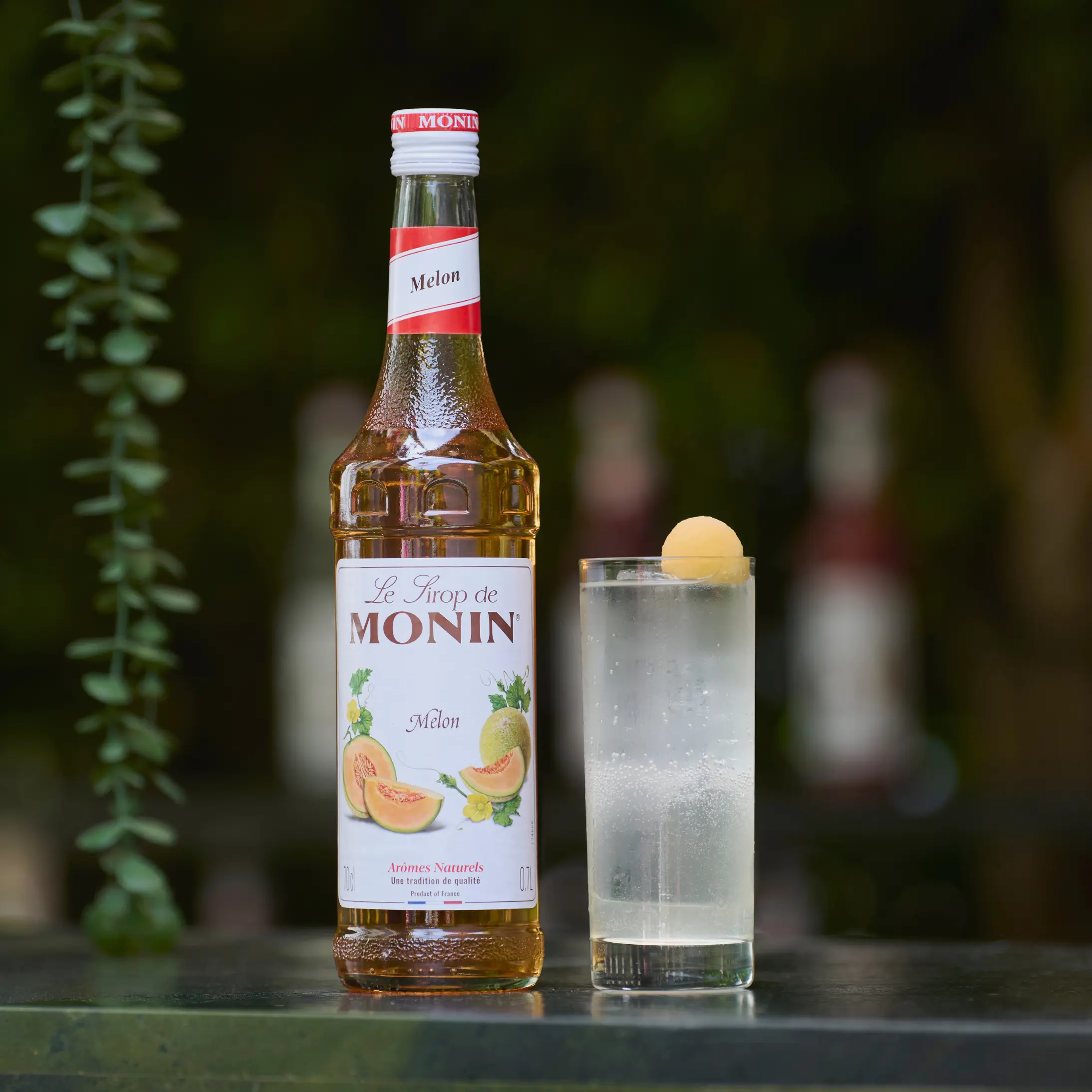 Melon Tom Collins - MONIN 1912