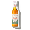 Le Sirop de MONIN Agave