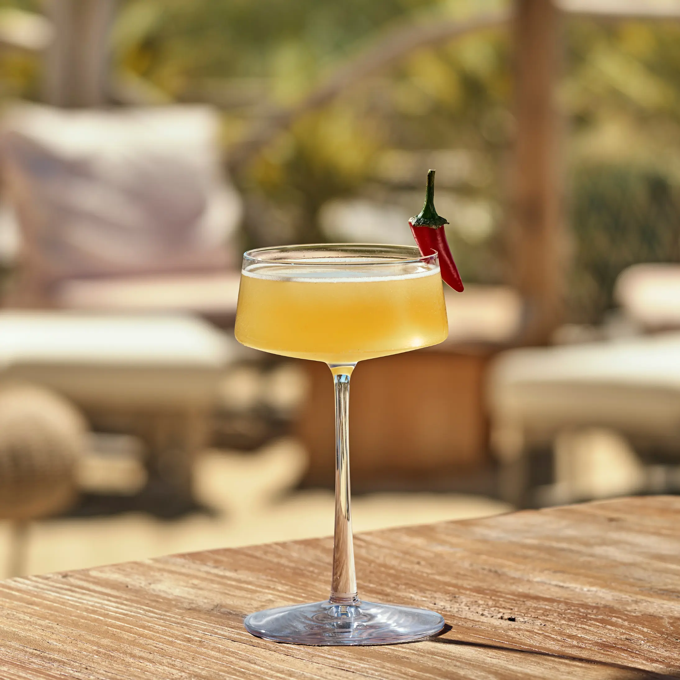 Spicy Daiquiri - MONIN 1912