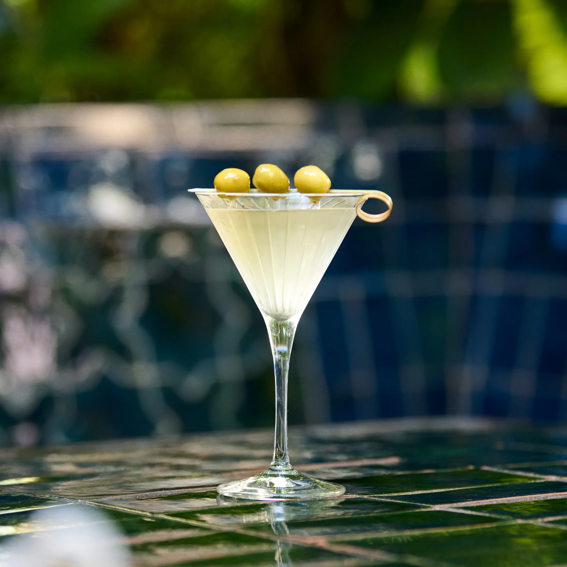 Vetiver Dry Martini - MONIN 1912