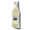 Le Mixeur de MONIN Daiquiri Mix