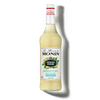 Le Mixeur de MONIN Margarita Mix