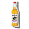 Le Mixeur de MONIN Porn Star Martini Mix