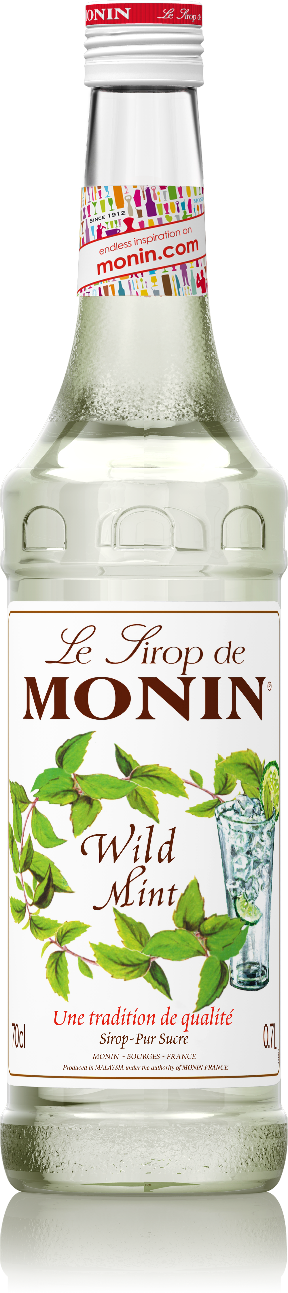 Le Sirop de MONIN Wild Mint