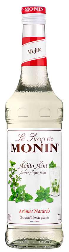 Le Sirop de MONIN Mojito Mint
