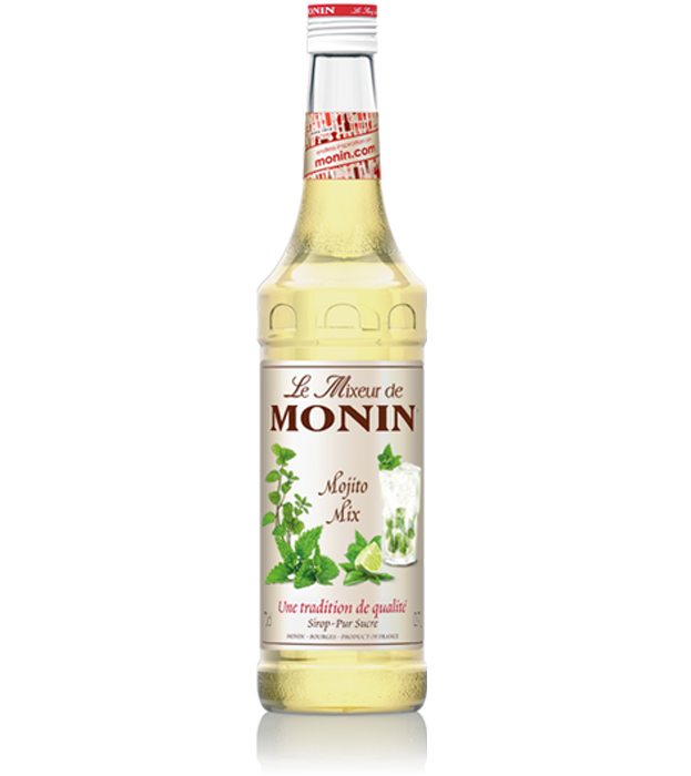 Le Mixeur de MONIN Mojito Mix